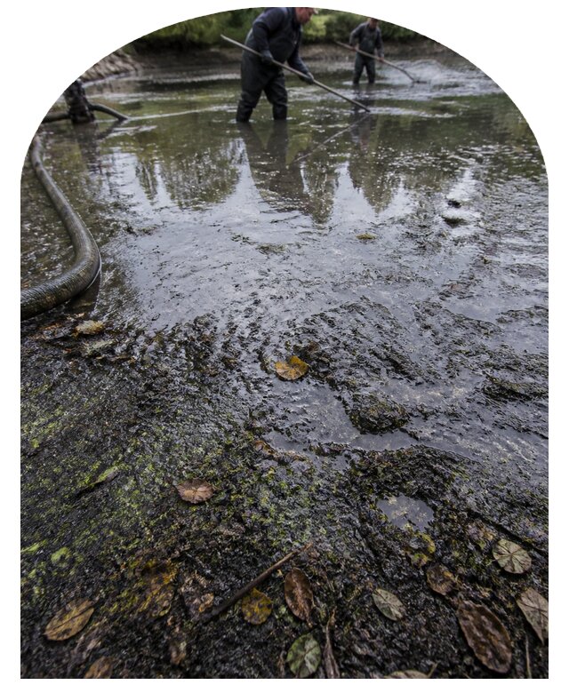 Очистка пруда в Новом Уренгое от ила мусора и водорослей с вывозом